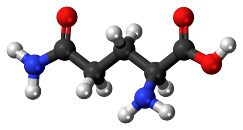 Modello tridimensionale della L-glutammina