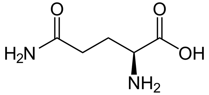 Formula di struttura della L-glutammina
