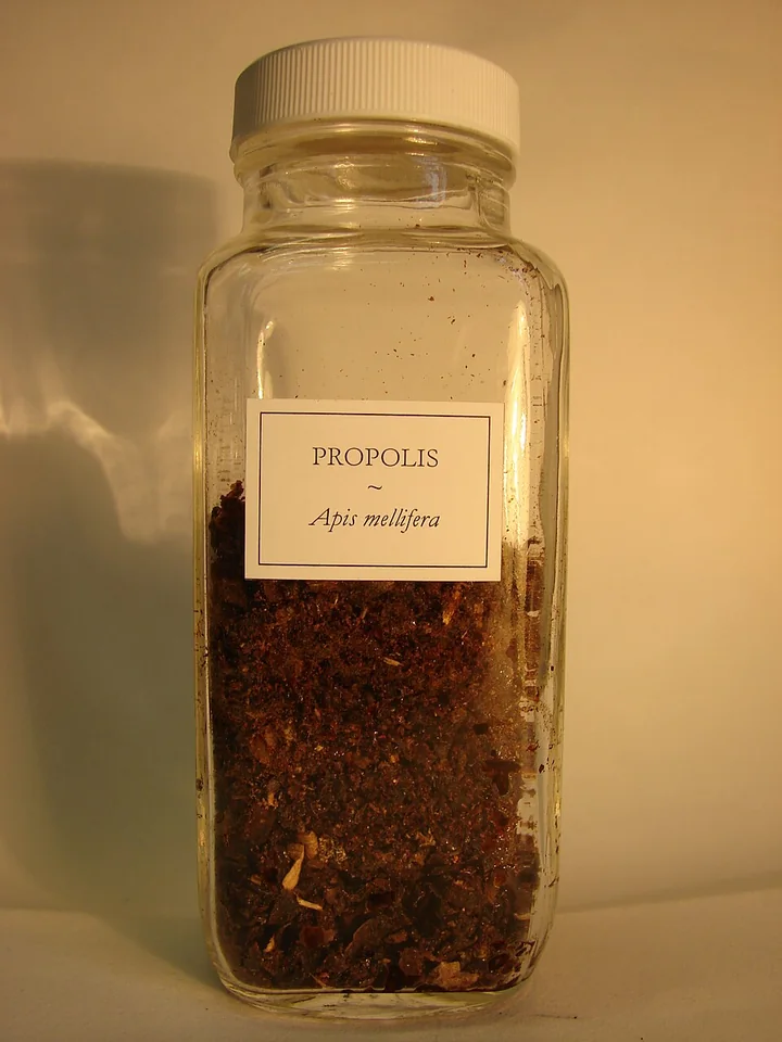 Propoli grezza