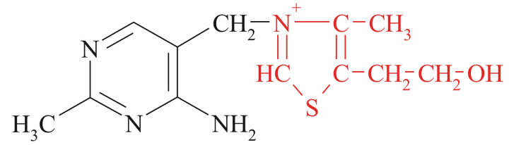 Formula di struttura della tiamina, vitamina B1